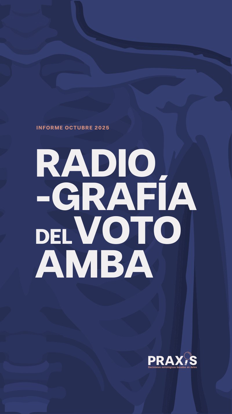 Radiografía del voto AMBA