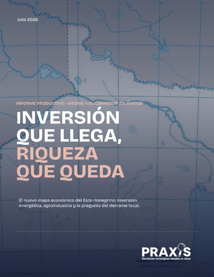 Informe Productivo de Viedma 2026